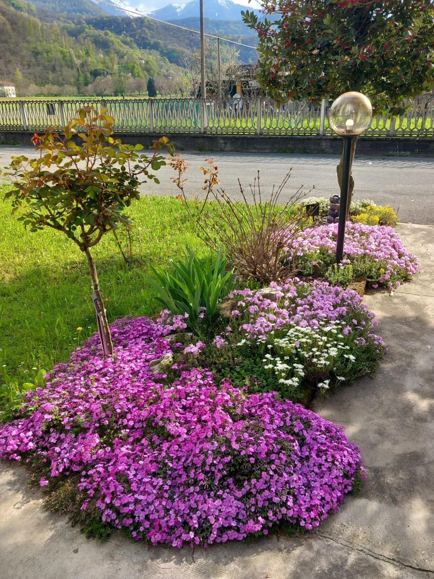 B&B Il Castagno Roccavione Ngoại thất bức ảnh